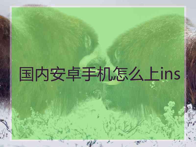 国内安卓手机怎么上ins