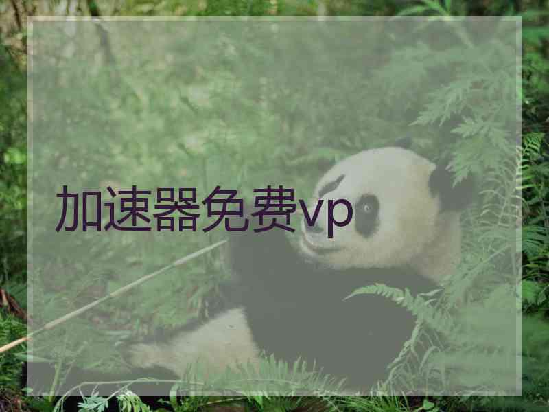 加速器免费vp