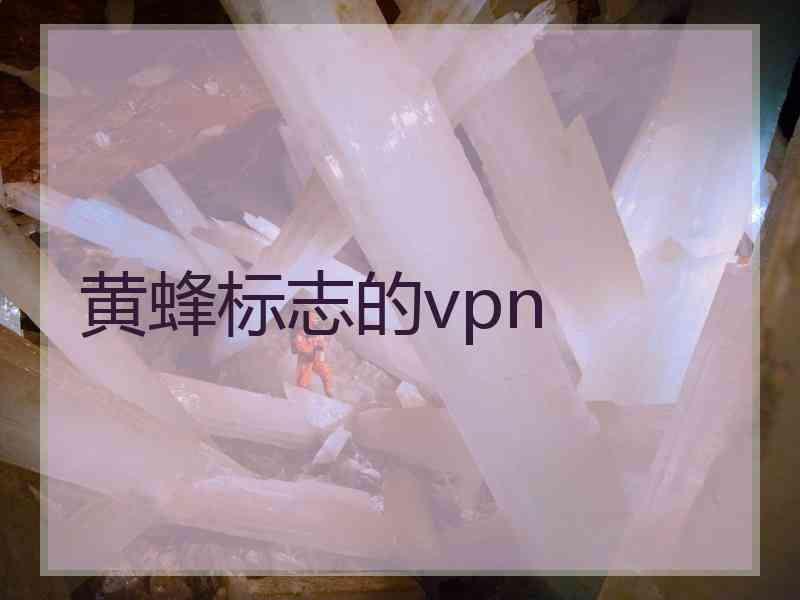 黄蜂标志的vpn