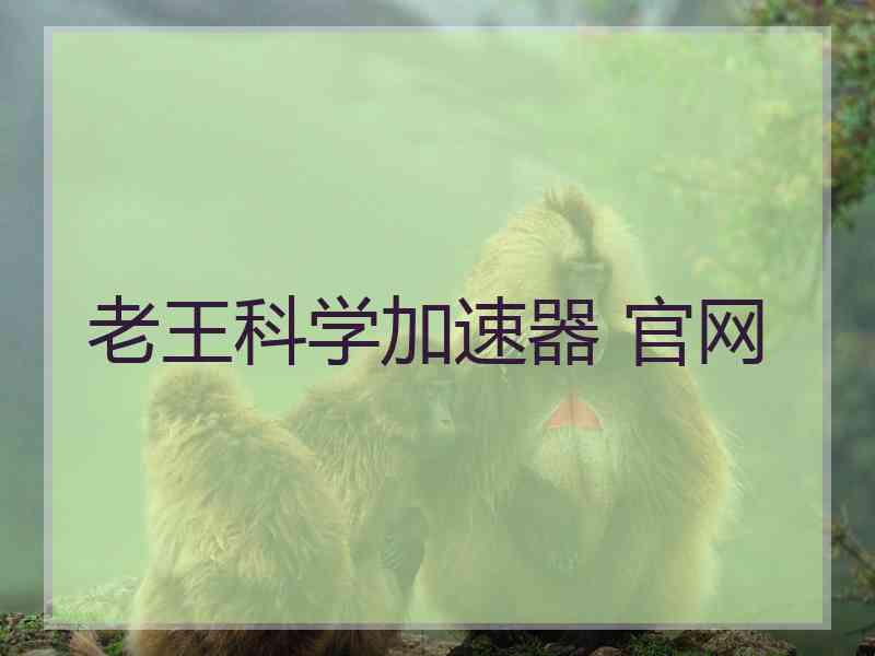 老王科学加速器 官网