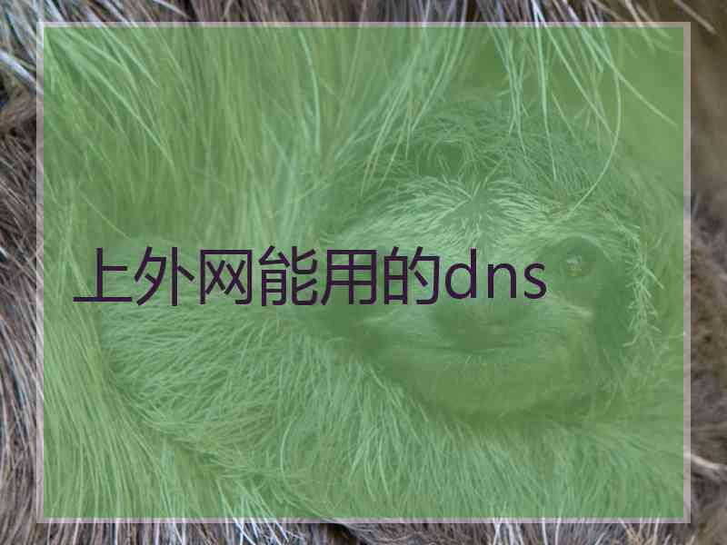 上外网能用的dns