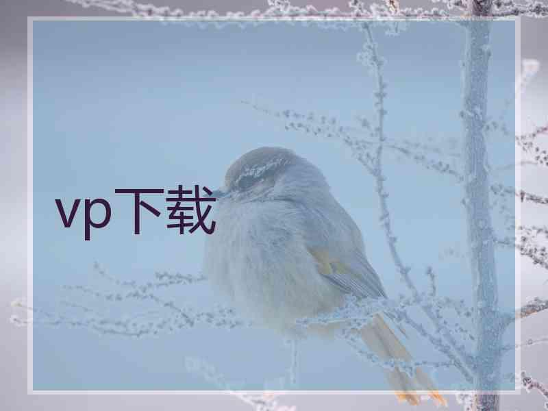 vp下载