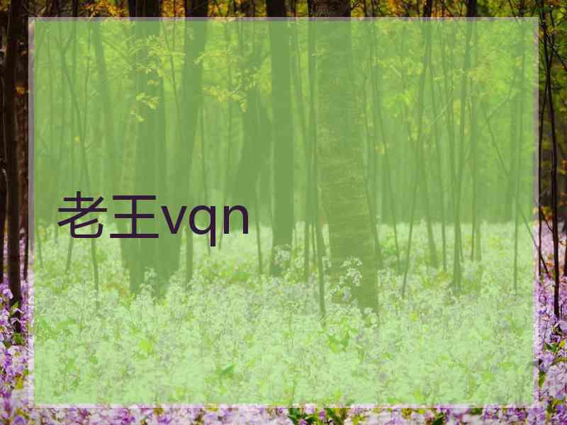 老王vqn