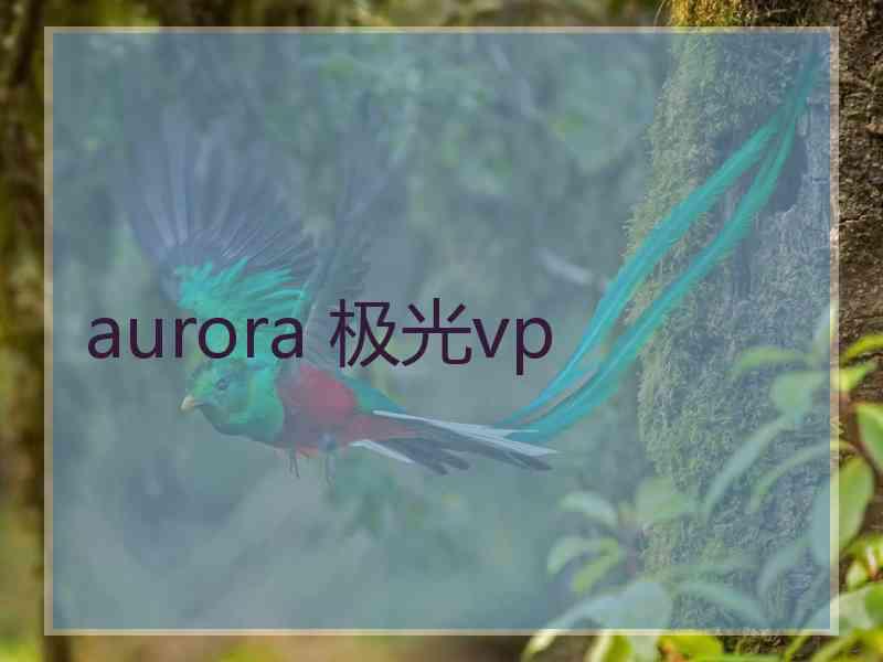 aurora 极光vp