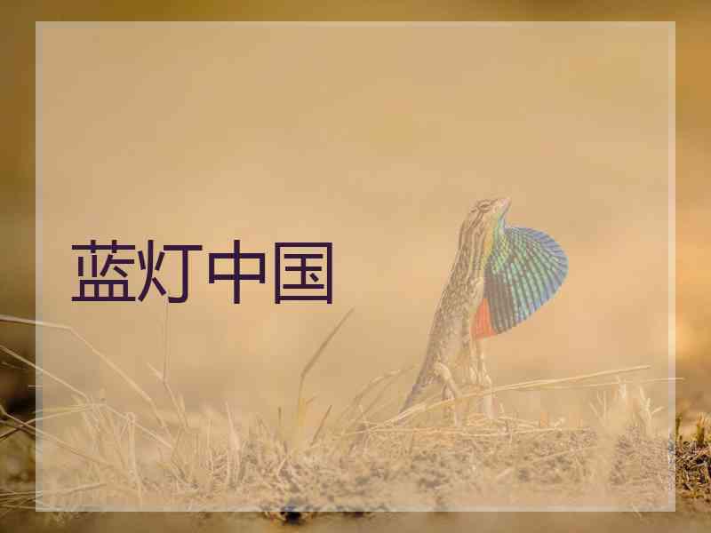 蓝灯中国