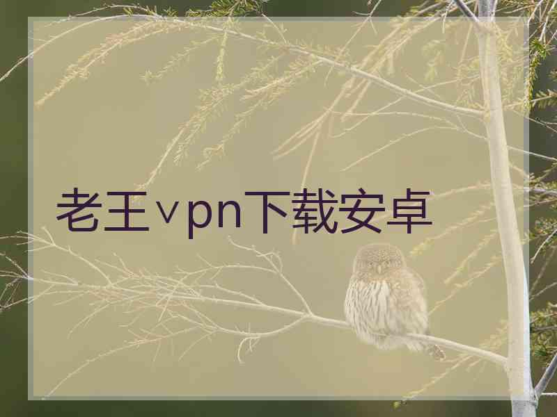 老王∨pn下载安卓