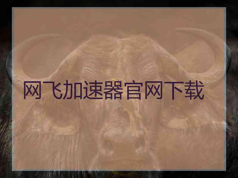 网飞加速器官网下载