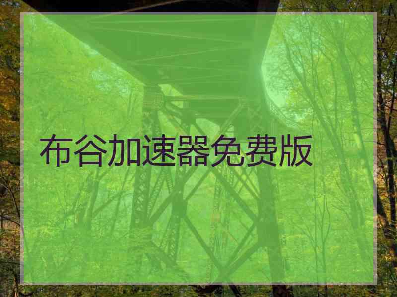 布谷加速器免费版
