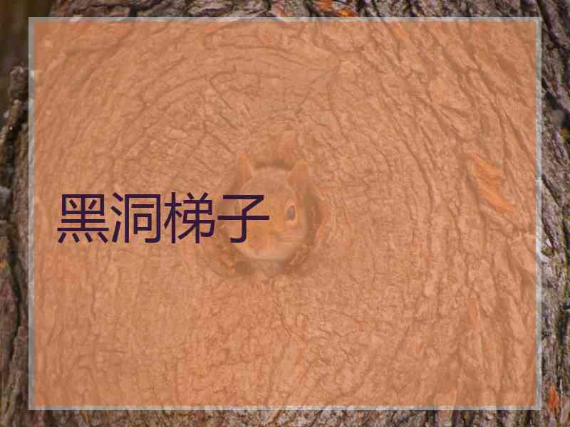 黑洞梯子