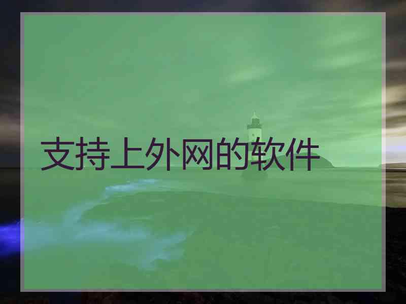 支持上外网的软件