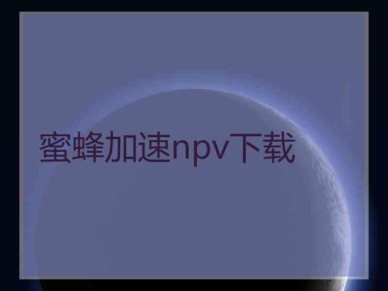 蜜蜂加速npv下载