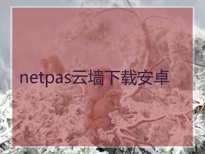 netpas云墙下载安卓