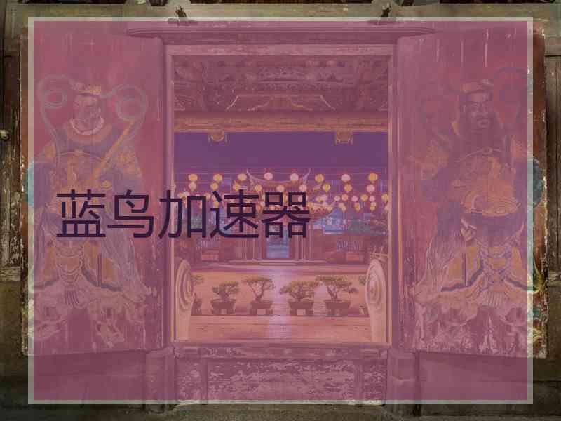 蓝鸟加速器
