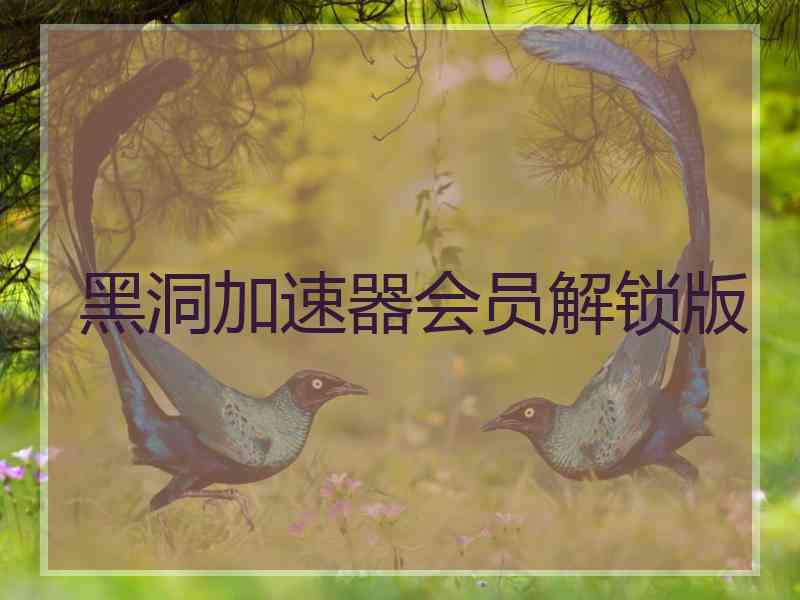 黑洞加速器会员解锁版