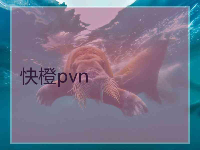 快橙pvn