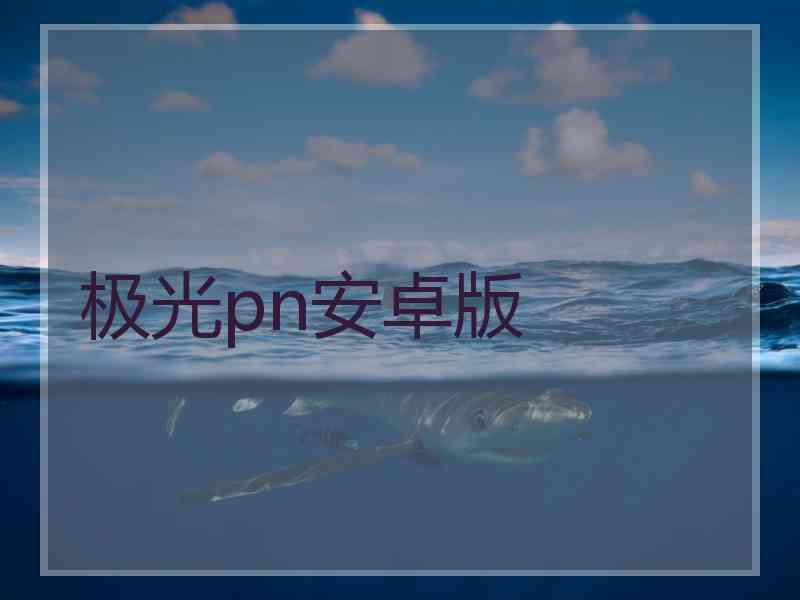 极光pn安卓版