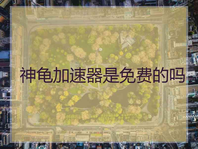 神龟加速器是免费的吗