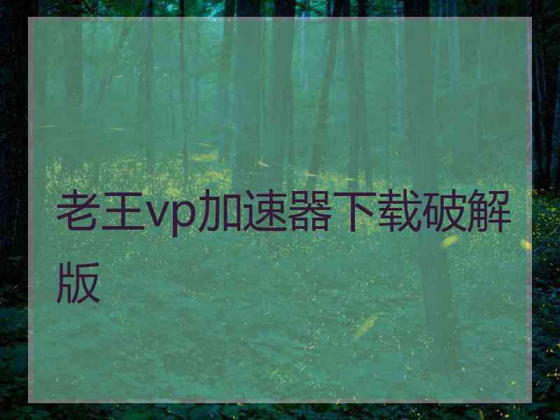 老王vp加速器下载破解版