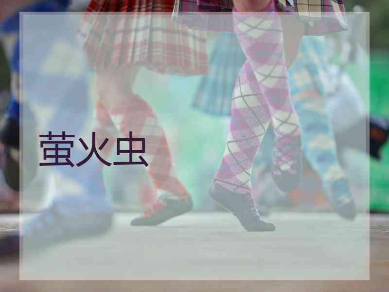 萤火虫