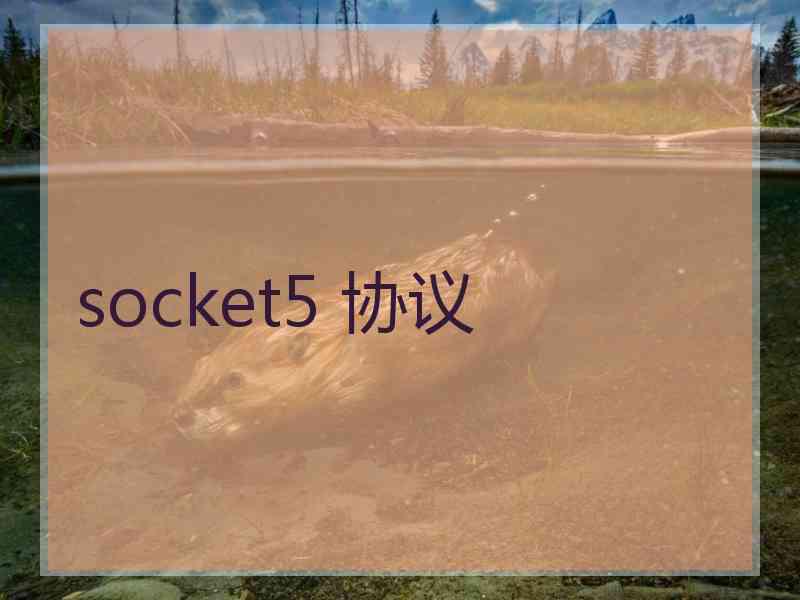 socket5 协议