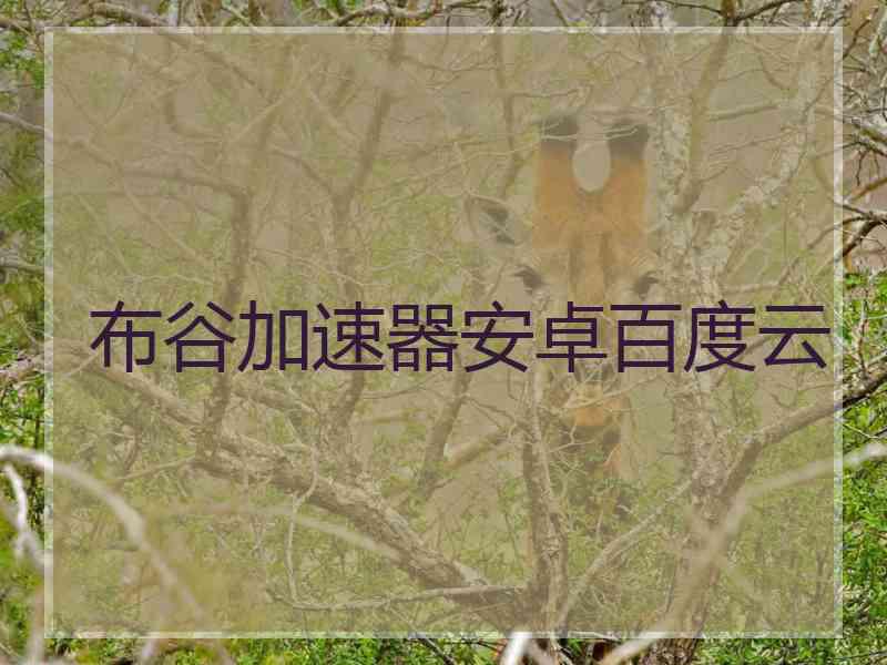 布谷加速器安卓百度云