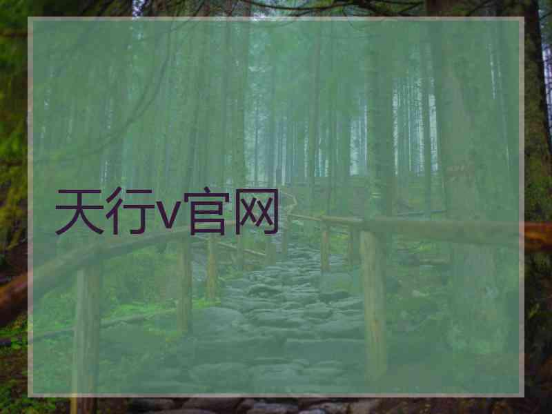 天行v官网