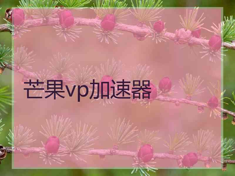芒果vp加速器