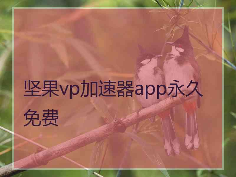 坚果vp加速器app永久免费
