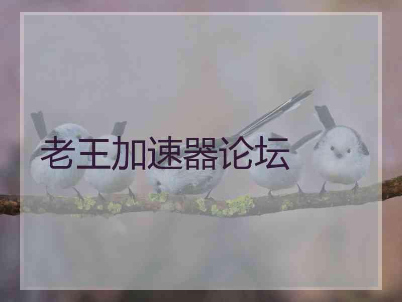老王加速器论坛