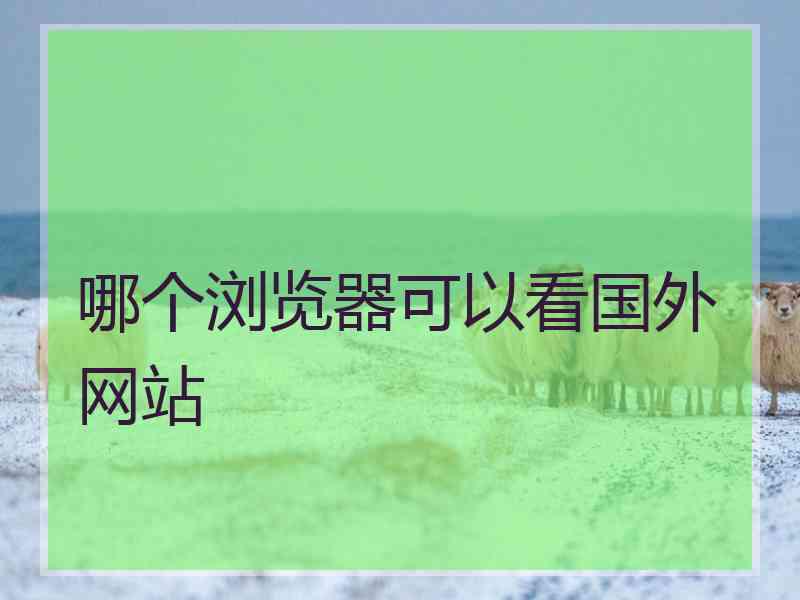 哪个浏览器可以看国外网站