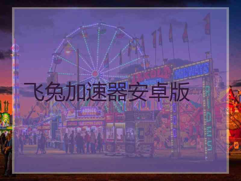 飞兔加速器安卓版