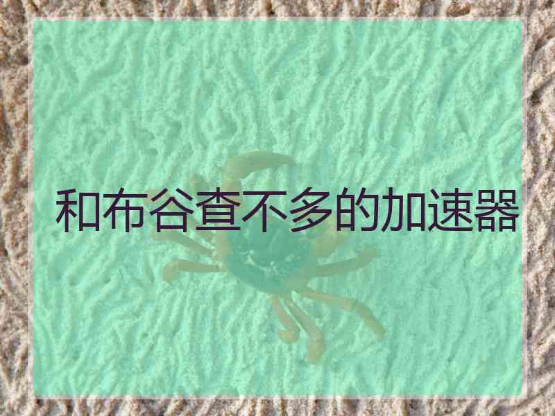 和布谷查不多的加速器