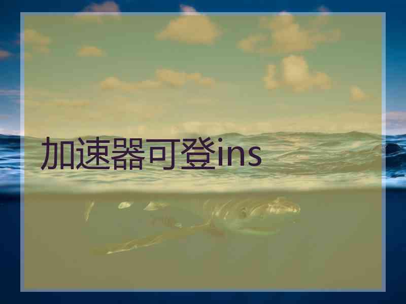 加速器可登ins