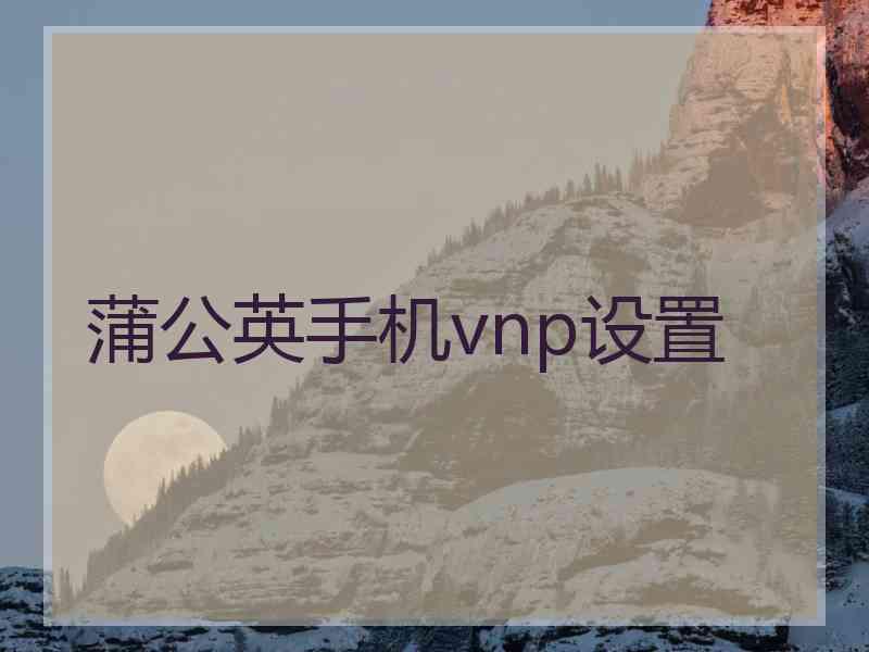 蒲公英手机vnp设置