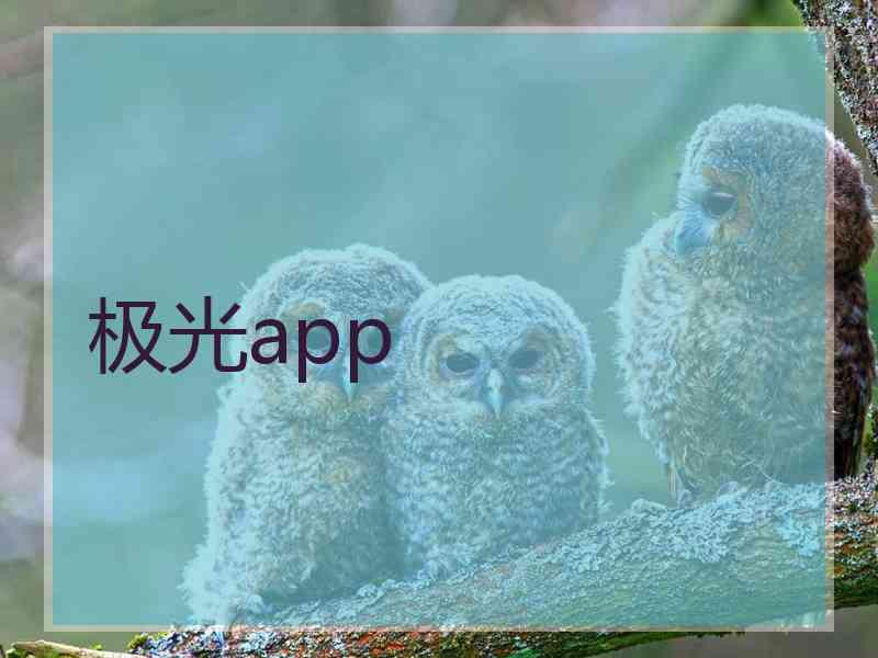 极光app