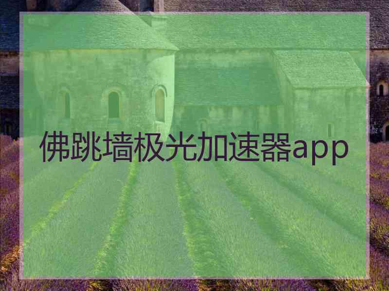 佛跳墙极光加速器app