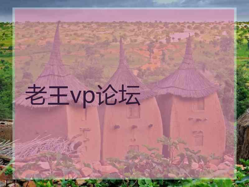 老王vp论坛