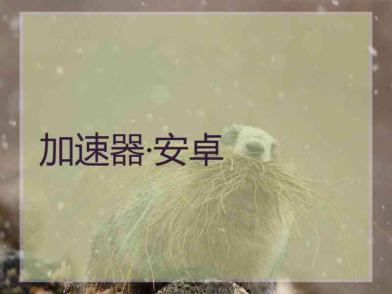 加速器·安卓