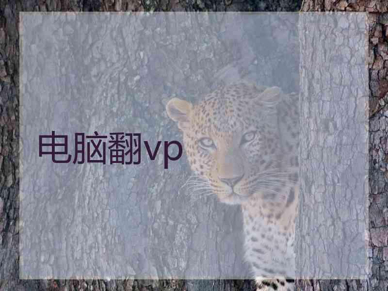 电脑翻vp