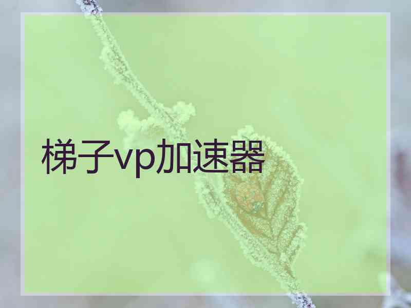 梯子vp加速器