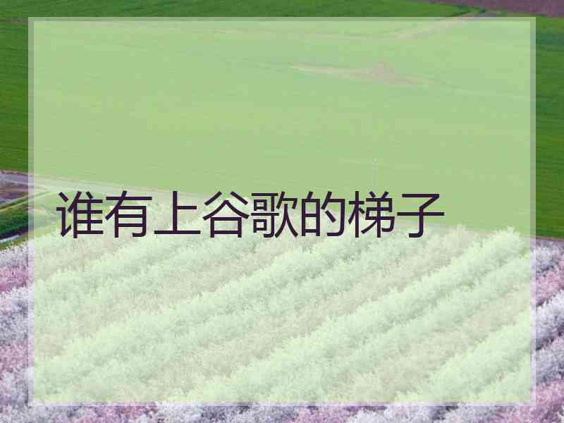 谁有上谷歌的梯子