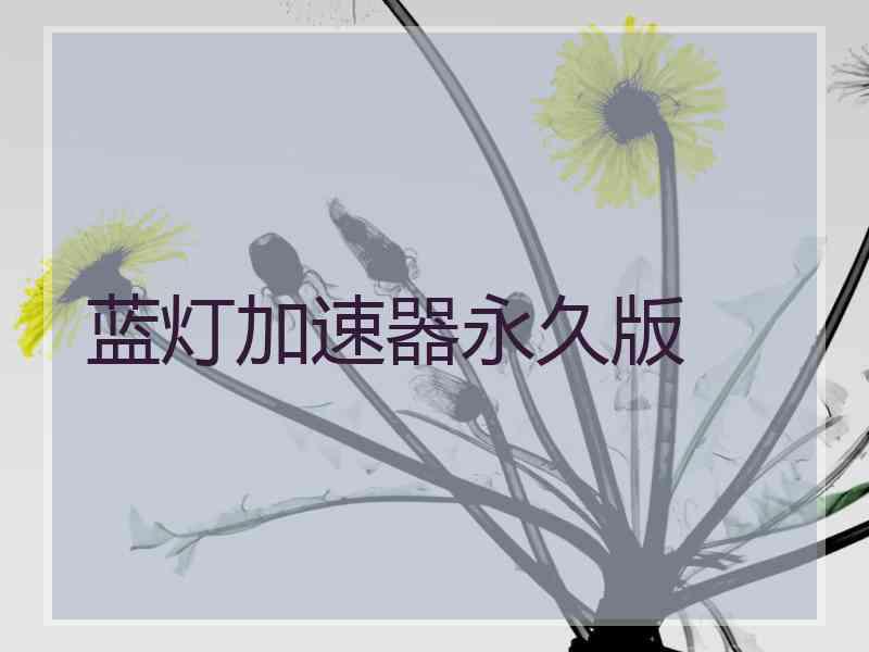蓝灯加速器永久版