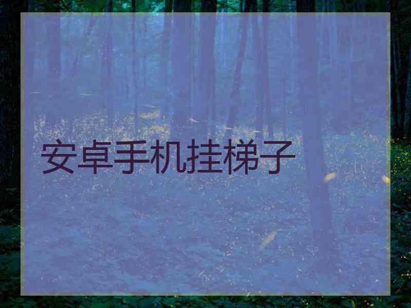 安卓手机挂梯子