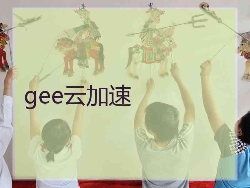 gee云加速