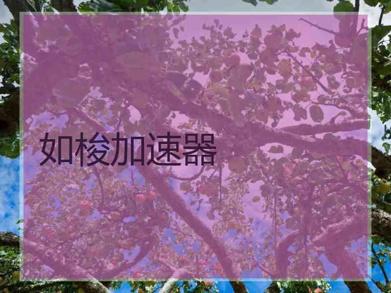 如梭加速器