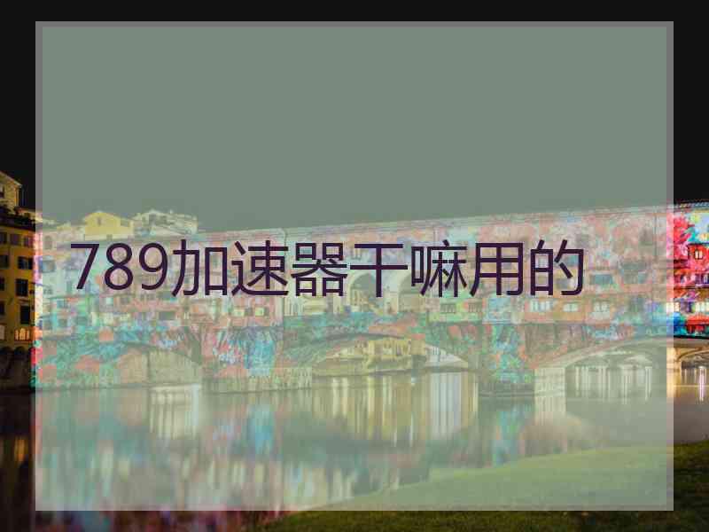 789加速器干嘛用的