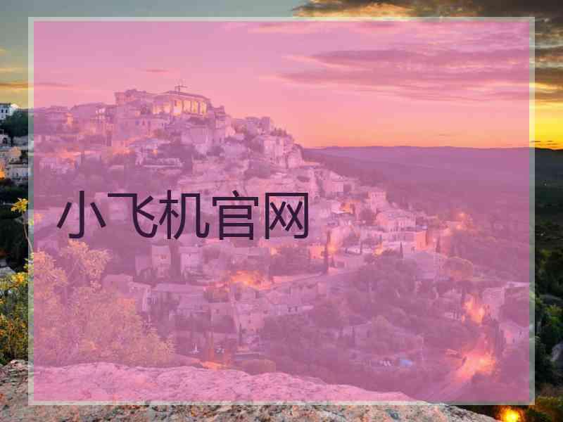 小飞机官网