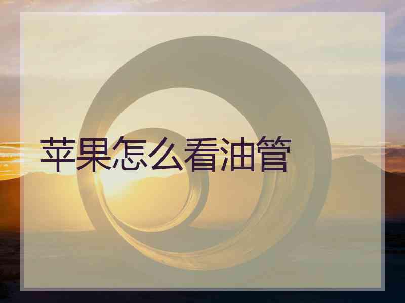 苹果怎么看油管