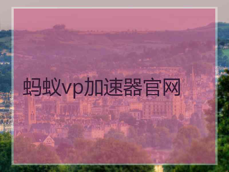 蚂蚁vp加速器官网