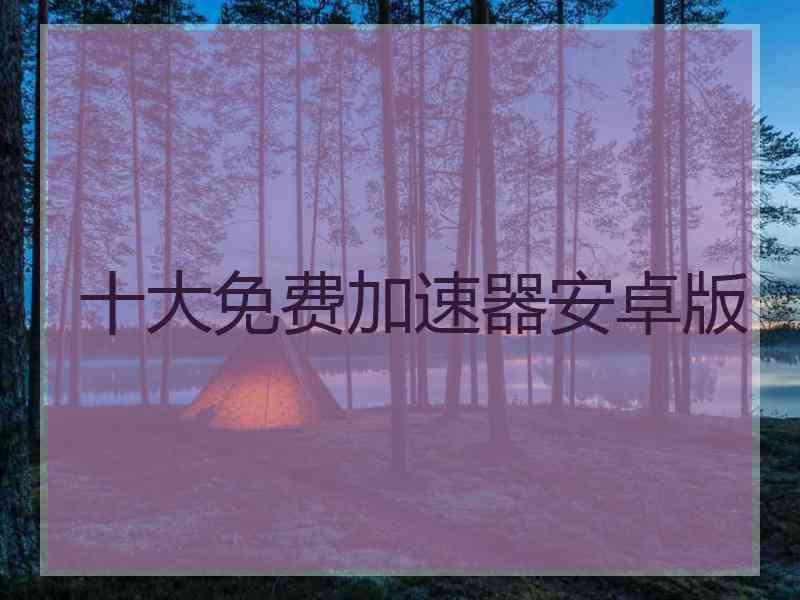 十大免费加速器安卓版